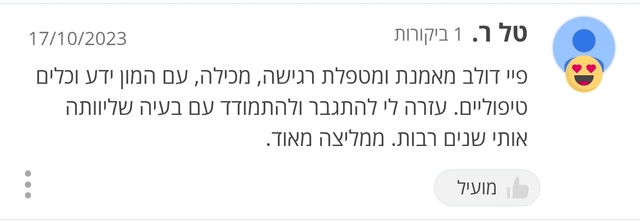 המלצה 19 על טיפול NLP ו-LI-CBT אצל פיי דולב בראשון לציון